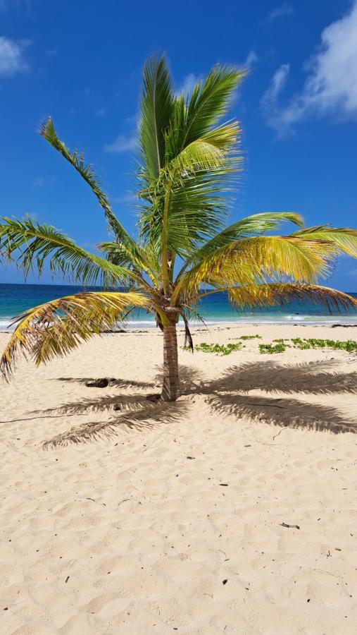 Studio Plage De L'Anse Caritan Sainte-Anne Exteriör bild