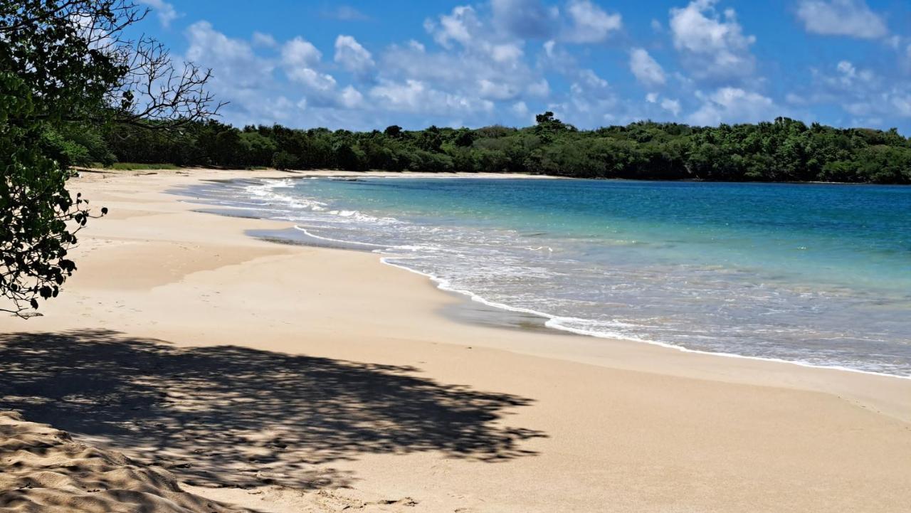 Studio Plage De L'Anse Caritan Sainte-Anne Exteriör bild